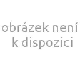 Obrázek pro produkt Povrchová penetrace - 1 l